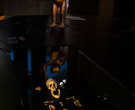 Lucy and Selam in the exhibition People and Their Ancestors from August 25 to October 23, 2025 Lucy and Selam in the exhibition People and Their Ancestors from August 25 to October 23, 2025