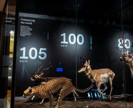 Expozice Zázraky evoluce Expozice Zázraky evoluce