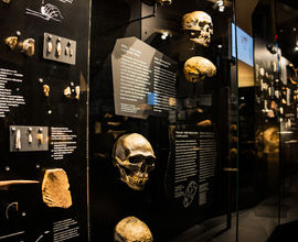 Expozice Lidé a jejich předci