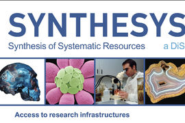 Synthesys plus – Synthesis of systematic resources
