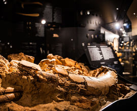 Expozice Lidé a jejich předci